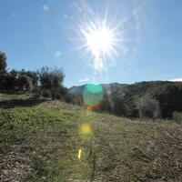 Island in Greece, Ionian Islands, Corfu, 41000 sq.m.
