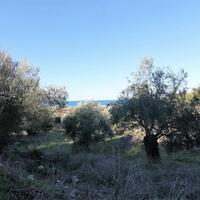 Island in Greece, Ionian Islands, Corfu, 41000 sq.m.