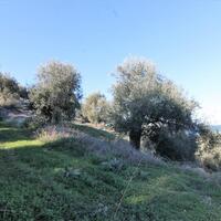 Island in Greece, Ionian Islands, Corfu, 41000 sq.m.