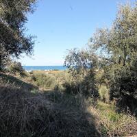 Island in Greece, Ionian Islands, Corfu, 41000 sq.m.