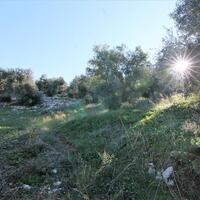 Island in Greece, Ionian Islands, Corfu, 41000 sq.m.