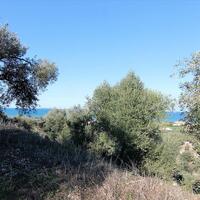 Island in Greece, Ionian Islands, Corfu, 41000 sq.m.