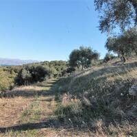 Island in Greece, Ionian Islands, Corfu, 41000 sq.m.