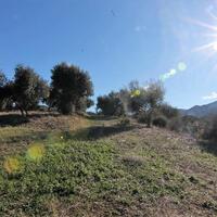 Island in Greece, Ionian Islands, Corfu, 41000 sq.m.