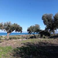 Island in Greece, Ionian Islands, Corfu, 41000 sq.m.