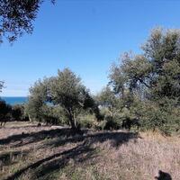 Island in Greece, Ionian Islands, Corfu, 41000 sq.m.