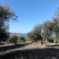 Island in Greece, Ionian Islands, Corfu, 41000 sq.m.