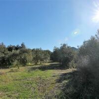 Island in Greece, Ionian Islands, Corfu, 41000 sq.m.
