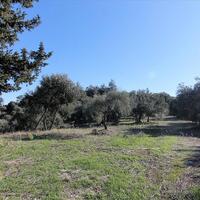 Island in Greece, Ionian Islands, Corfu, 41000 sq.m.