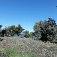 Island in Greece, Ionian Islands, Corfu, 41000 sq.m.