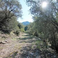 Island in Greece, Ionian Islands, Corfu, 41000 sq.m.