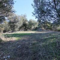 Island in Greece, Ionian Islands, Corfu, 41000 sq.m.