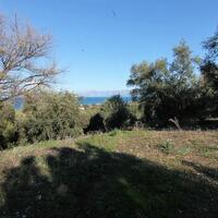Island in Greece, Ionian Islands, Corfu, 41000 sq.m.