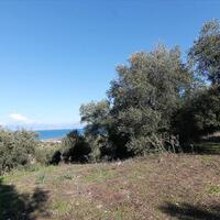 Island in Greece, Ionian Islands, Corfu, 41000 sq.m.