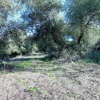 Island in Greece, Ionian Islands, Corfu, 41000 sq.m.