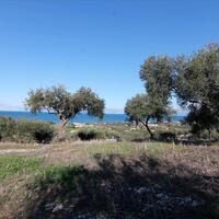 Island in Greece, Ionian Islands, Corfu, 41000 sq.m.