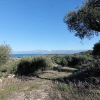 Island in Greece, Ionian Islands, Corfu, 41000 sq.m.
