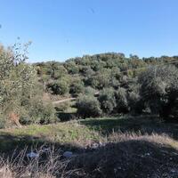 Island in Greece, Ionian Islands, Corfu, 41000 sq.m.