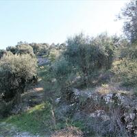 Island in Greece, Ionian Islands, Corfu, 41000 sq.m.