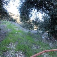 Island in Greece, Ionian Islands, Corfu, 41000 sq.m.