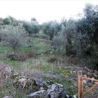 Island in Greece, Ionian Islands, Corfu, 41000 sq.m.