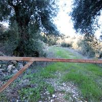 Island in Greece, Ionian Islands, Corfu, 41000 sq.m.