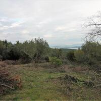 Island in Greece, Ionian Islands, Corfu, 5500 sq.m.