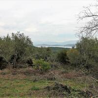 Island in Greece, Ionian Islands, Corfu, 5500 sq.m.