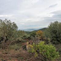 Island in Greece, Ionian Islands, Corfu, 5500 sq.m.