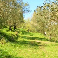 Island in Greece, Ionian Islands, Corfu, 10500 sq.m.