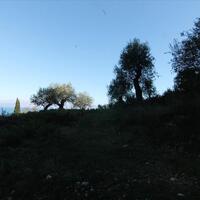 Island in Greece, Ionian Islands, Corfu, 9000 sq.m.