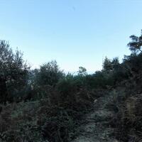 Island in Greece, Ionian Islands, Corfu, 9000 sq.m.