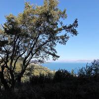 Island in Greece, Ionian Islands, Corfu, 9000 sq.m.