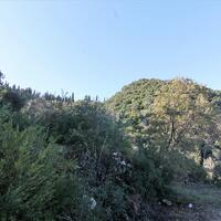 Island in Greece, Ionian Islands, Corfu, 9000 sq.m.