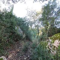 Island in Greece, Ionian Islands, Corfu, 9000 sq.m.