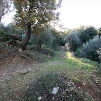 Island in Greece, Ionian Islands, Corfu, 5000 sq.m.