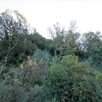 Island in Greece, Ionian Islands, Corfu, 5000 sq.m.
