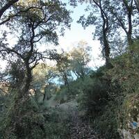 Island in Greece, Ionian Islands, Corfu, 5000 sq.m.
