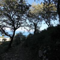 Island in Greece, Ionian Islands, Corfu, 4000 sq.m.