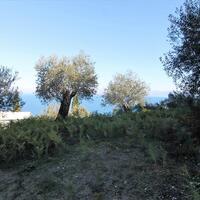 Island in Greece, Ionian Islands, Corfu, 4000 sq.m.