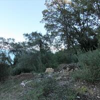 Island in Greece, Ionian Islands, Corfu, 4000 sq.m.