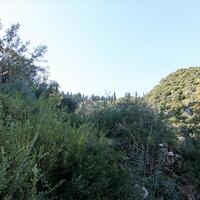 Island in Greece, Ionian Islands, Corfu, 4000 sq.m.
