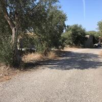 Island in Greece, Ionian Islands, Corfu, 2500 sq.m.