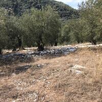 Island in Greece, Ionian Islands, Corfu, 2500 sq.m.