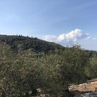 Island in Greece, Ionian Islands, Corfu, 2500 sq.m.