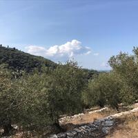 Island in Greece, Ionian Islands, Corfu, 2500 sq.m.