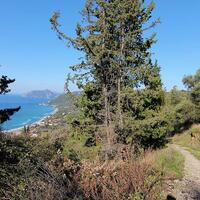 Island in Greece, Ionian Islands, Corfu, 7836 sq.m.