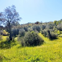 Island in Greece, Ionian Islands, Corfu, 1562 sq.m.