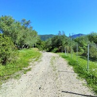 Island in Greece, Ionian Islands, Corfu, 1562 sq.m.