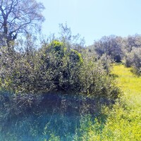 Island in Greece, Ionian Islands, Corfu, 1562 sq.m.
